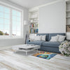 Indoor-AreaRug-2.5x1.5-20250414222804130